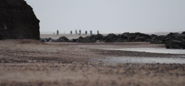 Dänemark Campingplatz am Meer auf natürliche Weise